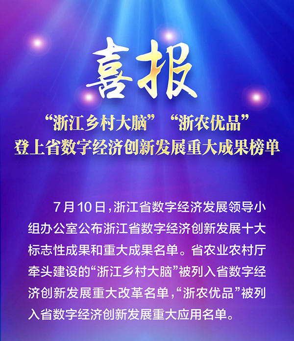 喜報！“浙江鄉(xiāng)村大腦”登上省數(shù)字經(jīng)濟(jì)創(chuàng)新發(fā)展重大成果榜單